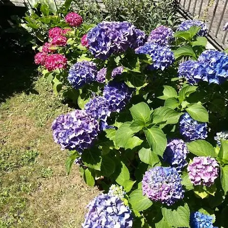 La Casa Di Paola A Apartment Candelo